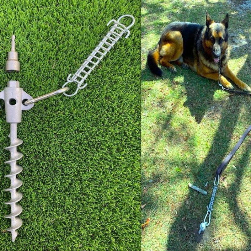 Secure Pet Ground Anchor Peg